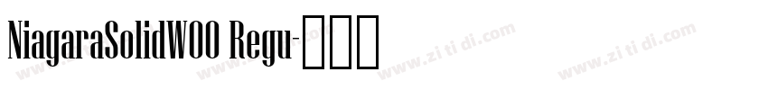 NiagaraSolidW00 Regu字体转换